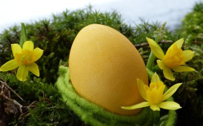 Tradition pour Pâques, la chasse aux œufs à Marqueyssac